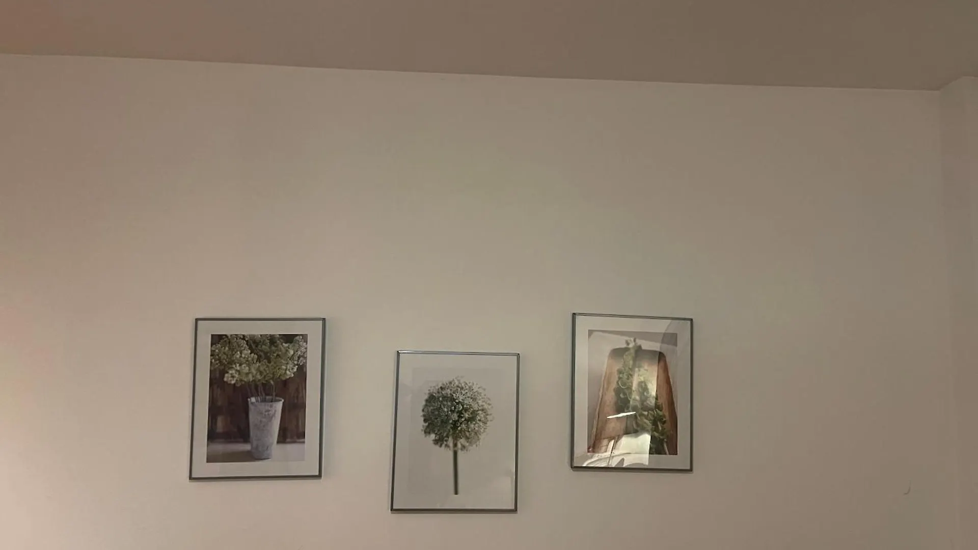 Executive City Centre Apartment Aberdeen Regno Unito